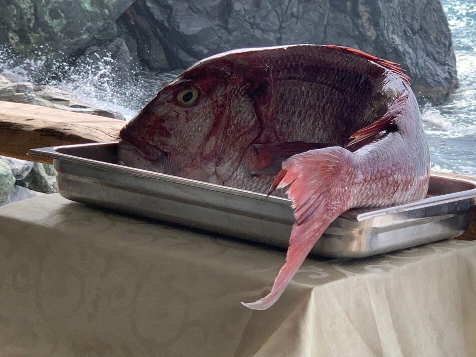 Pesce fresco: come riconoscerlo davvero (oltre l’etichetta)